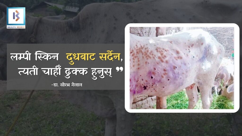 लम्पी स्किन